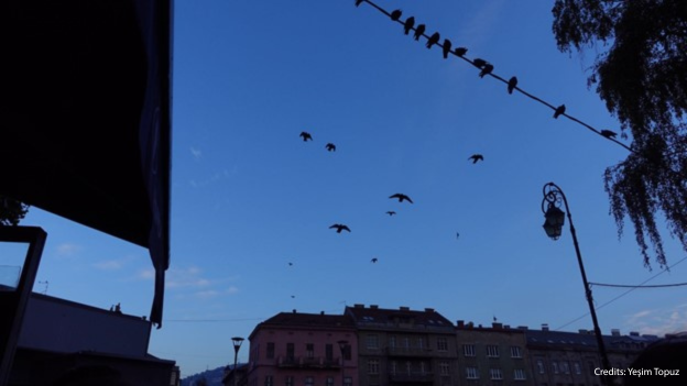 Morning sky over Sarajevo with birds in flight and perched on an overhead wire above early-20th-century apartment buildings.