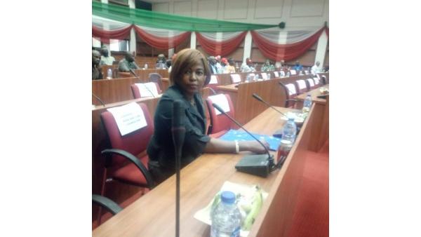 Keen and Care Participation at one of the Public Hearing at the National Assembly in Nigeria