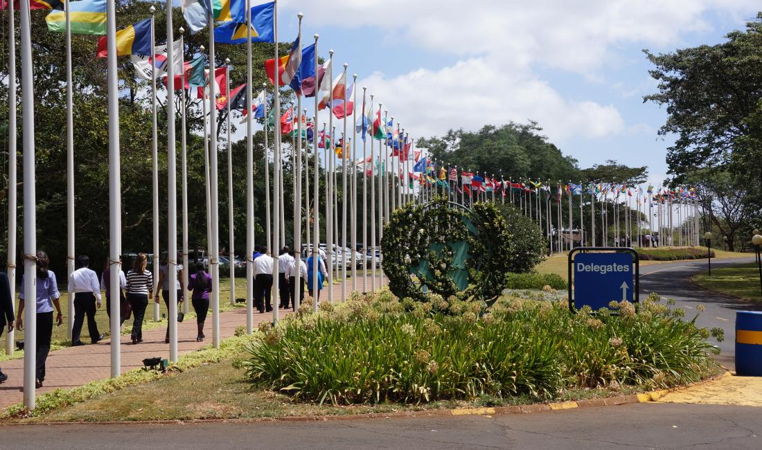 photo via Wikimedia Common, CC 4.0