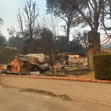 Photo by Joe Mathews