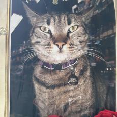 Photo by Joe Mathews